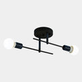Black and Gold 2-Light Flush Ceiling Lamp