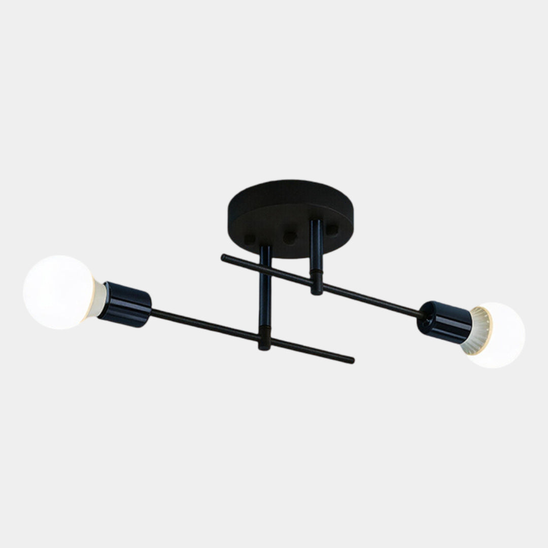 Black and Gold 2-Light Flush Ceiling Lamp