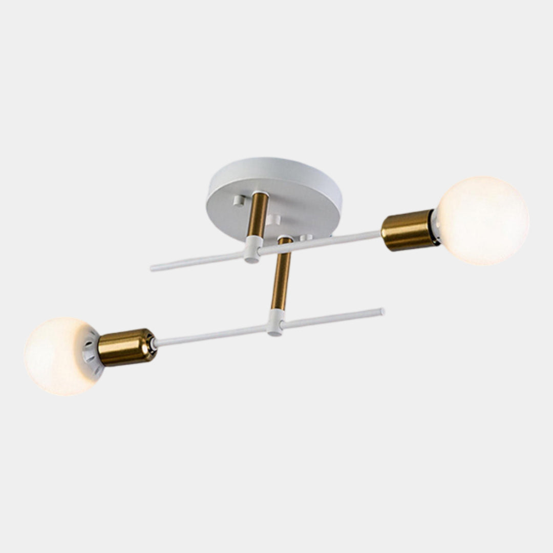 Black and Gold 2-Light Flush Ceiling Lamp