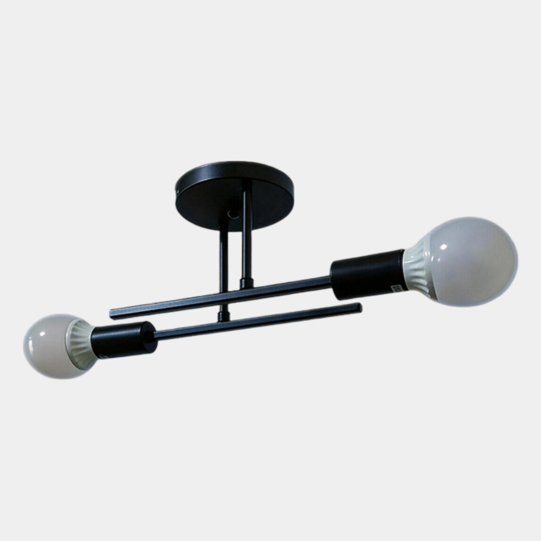 Black and Gold 2-Light Flush Ceiling Lamp