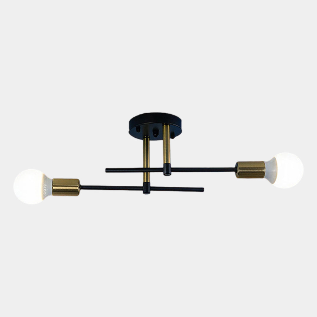 Black and Gold 2-Light Flush Ceiling Lamp