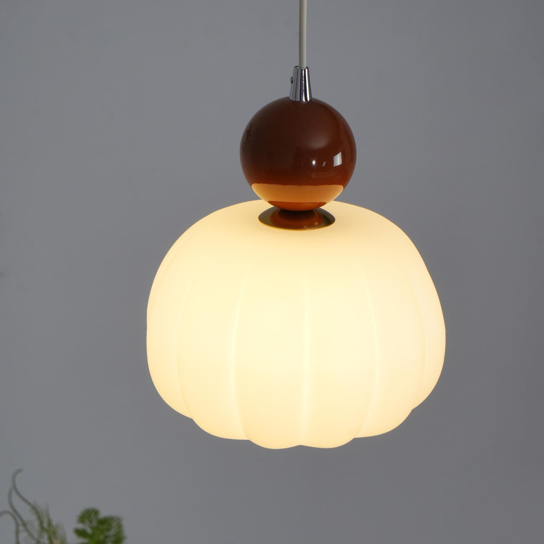 Yedra Organic Round Acrylic Pendant Lamp